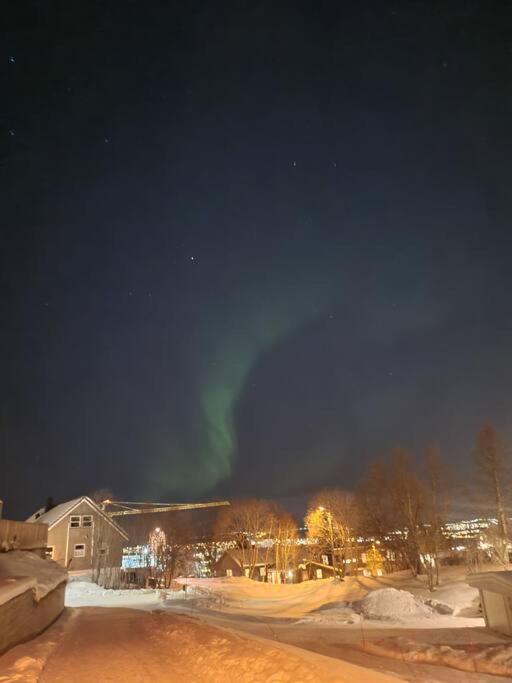 3 Bedrooms Apartment! Close To Aurora Observatory. *