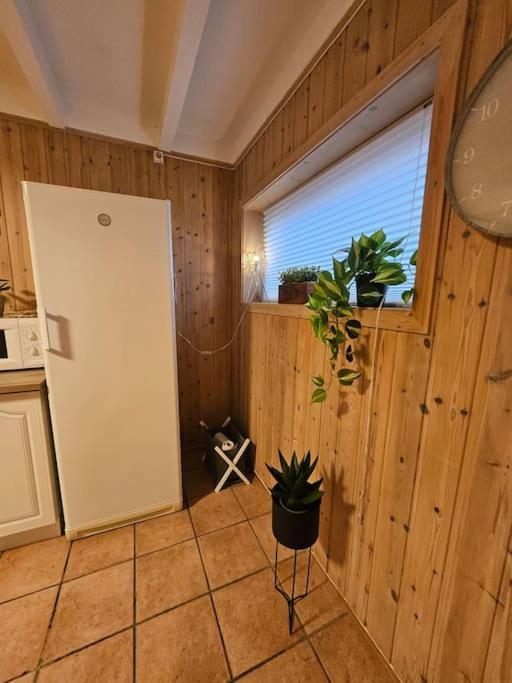 Apartment 3 Bedrooms Apartment! Close To Aurora Observatory. *