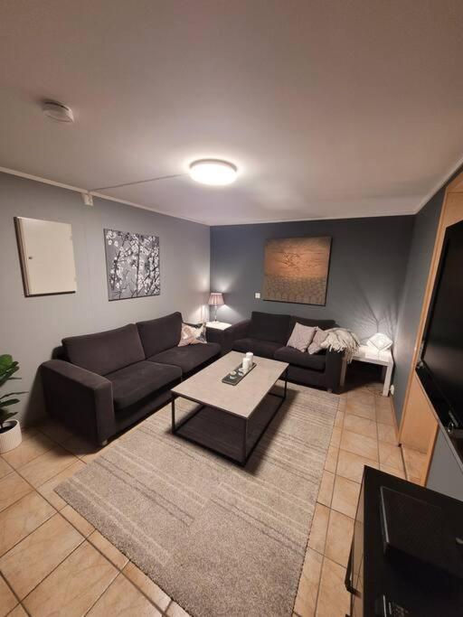 3 Bedrooms Apartment! Close To Aurora Observatory. Apartment *