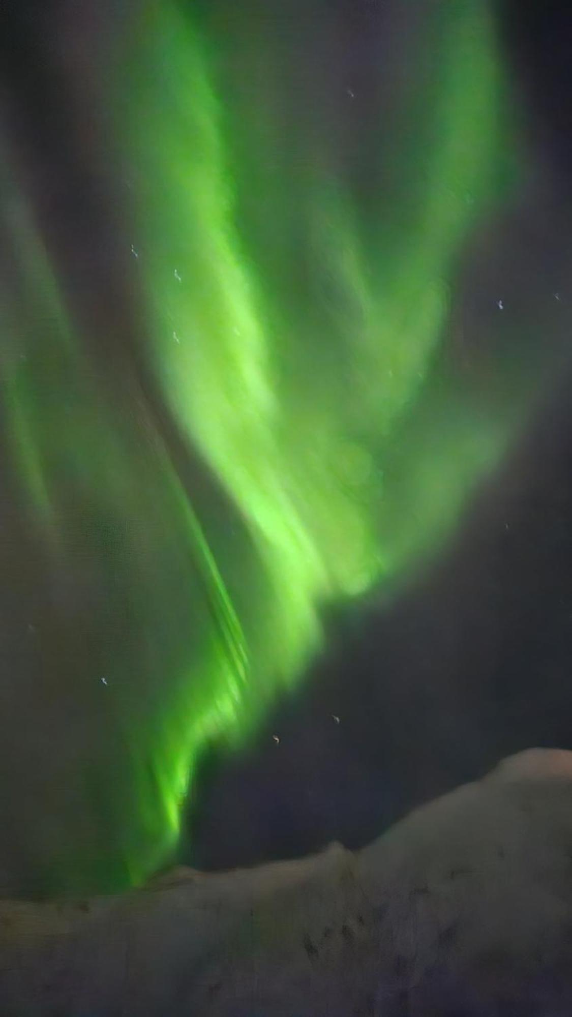 Arctica Tromso