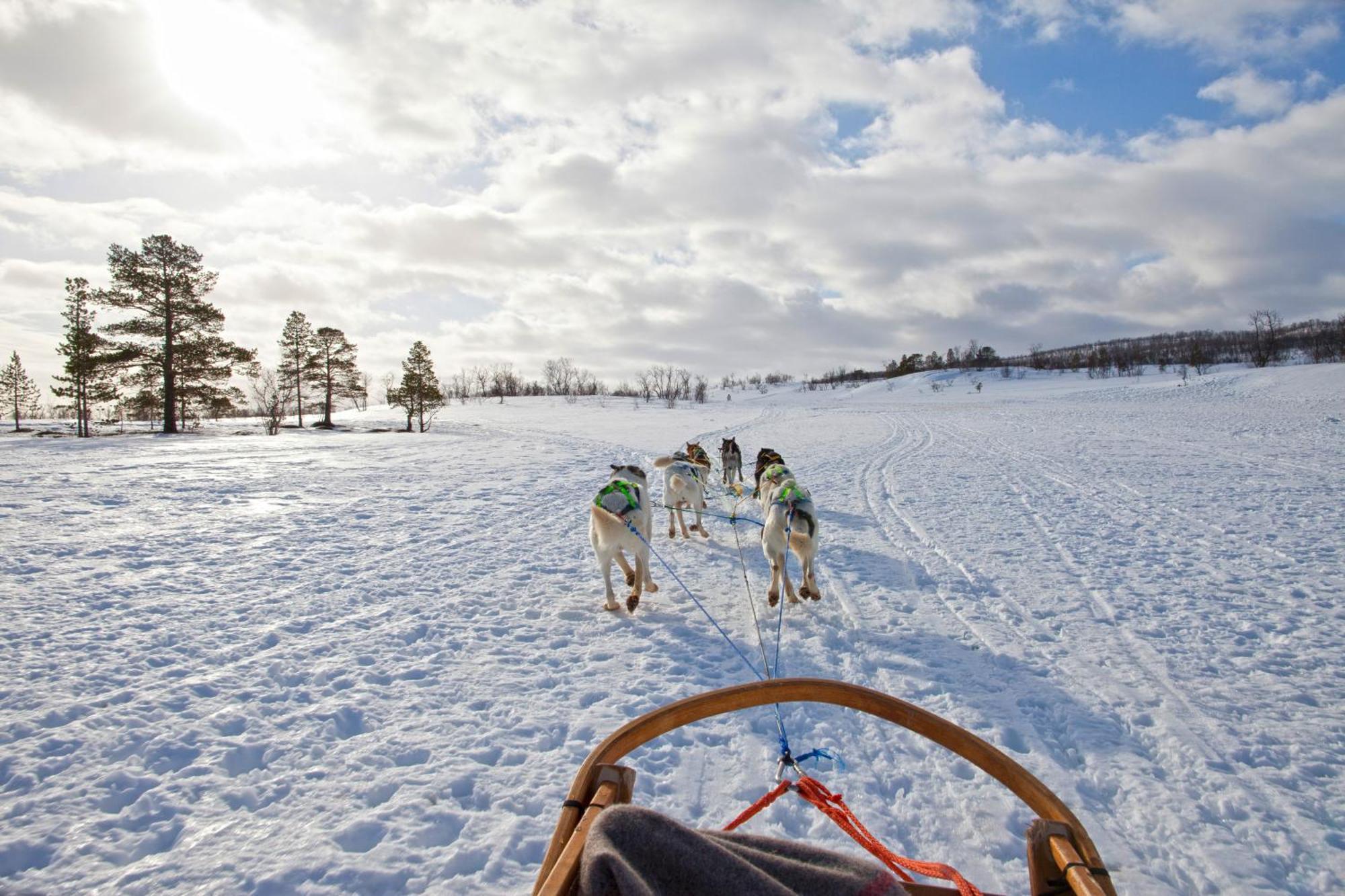Cozy And Among Locals
