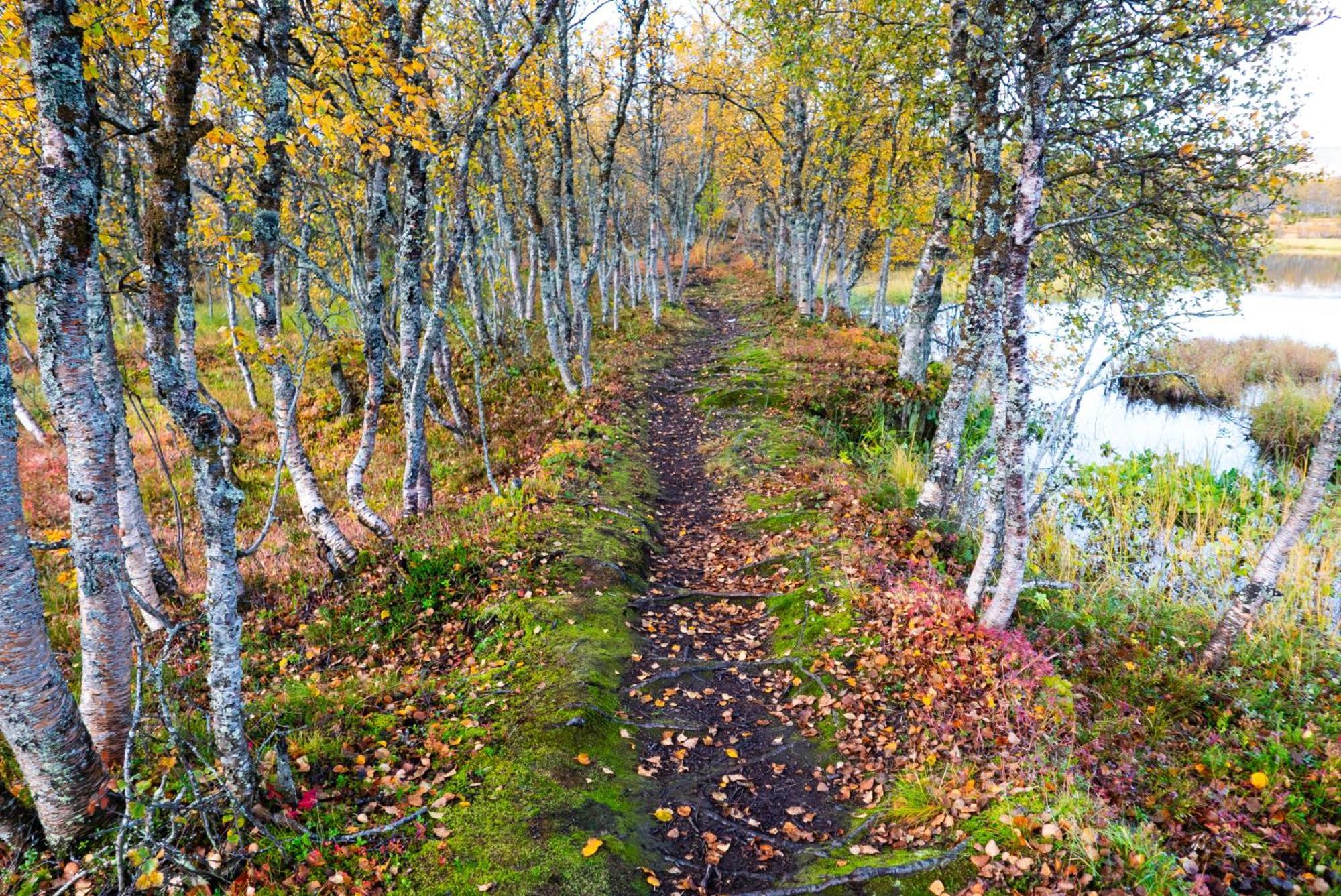 Arctic Retreat - Spacious Next To Amazing Nature Tromso