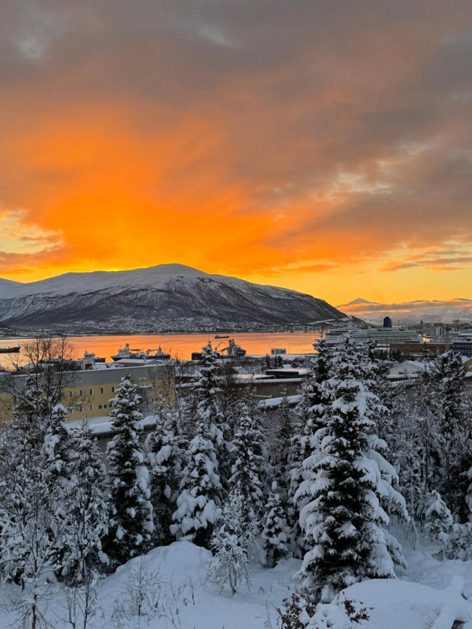Apartment Arctic Retreat - Spacious Next To Amazing Nature *
