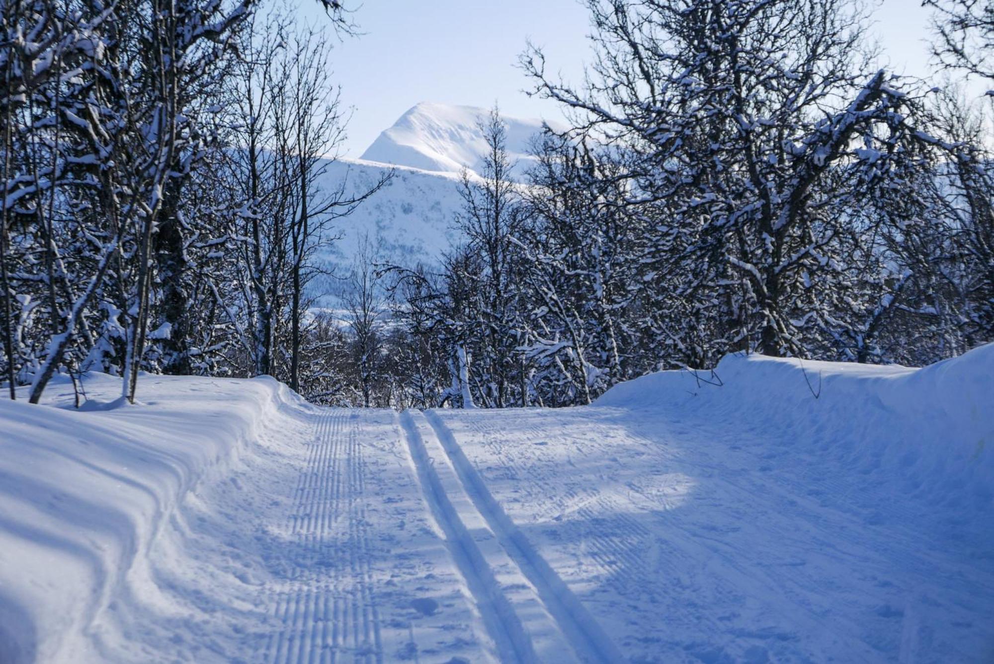 Arctic Retreat - Spacious Next To Amazing Nature *