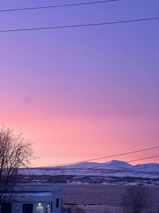Koselig Med Havutsikt * Tromsø