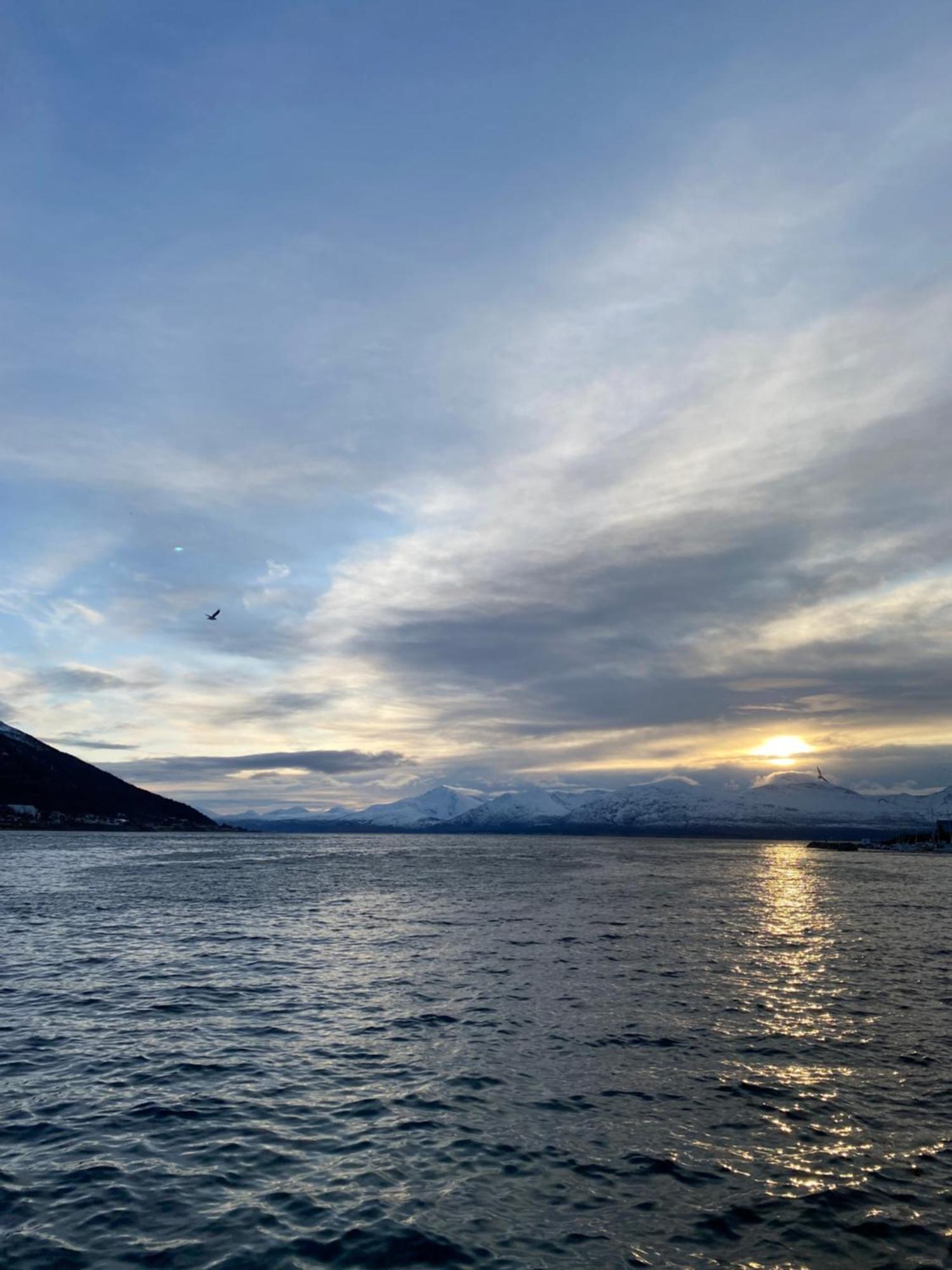Royal On The Edge By The Sea Tromsø