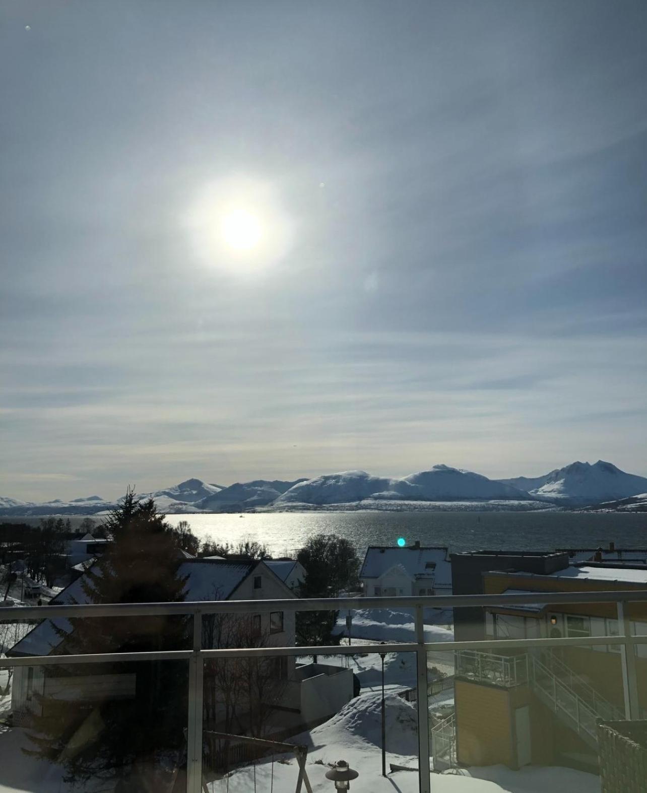 Arctic With Northern Light Viewpoint Séjour chez l'habitant