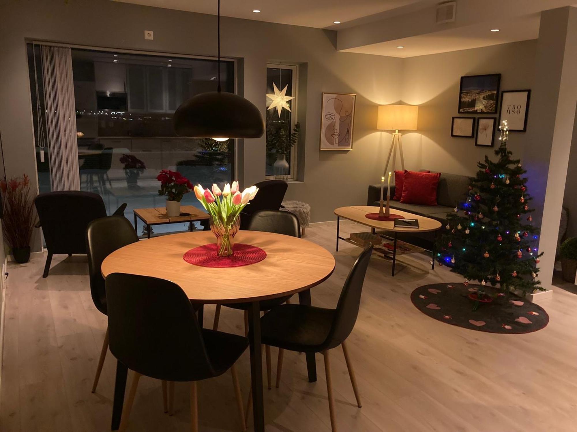 A Place For Aurora In Wintertime And Midnight Sun In Summer-time! Apartment Tromso