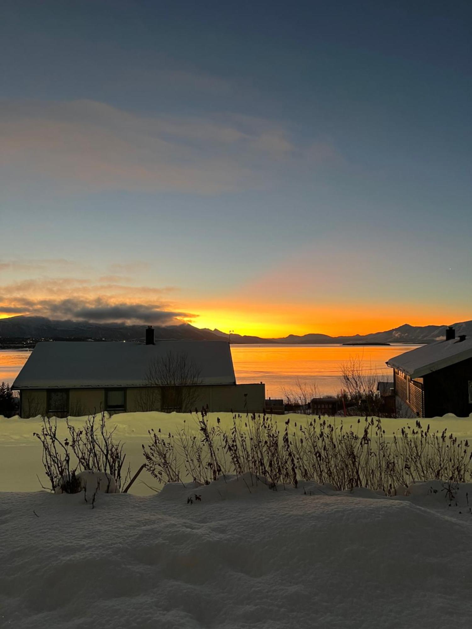Modern In Scenic Kvaloya Amazing View Tromsø
