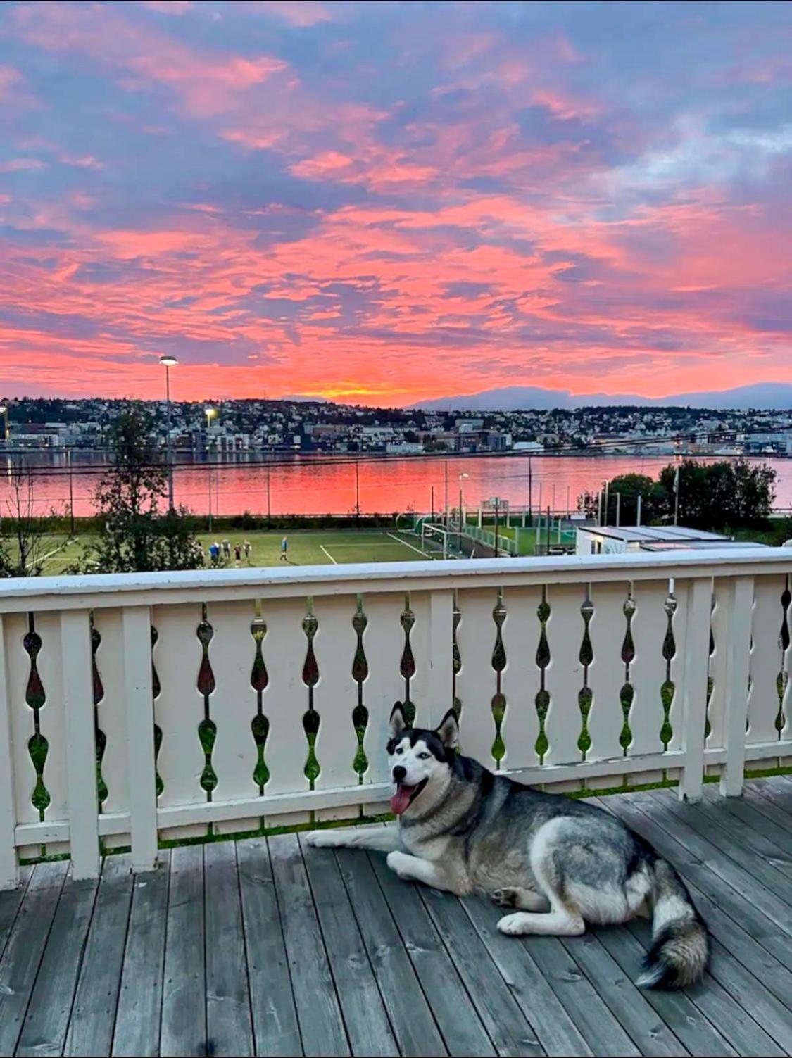 Fjord Bliss - Free Parking Holiday home *