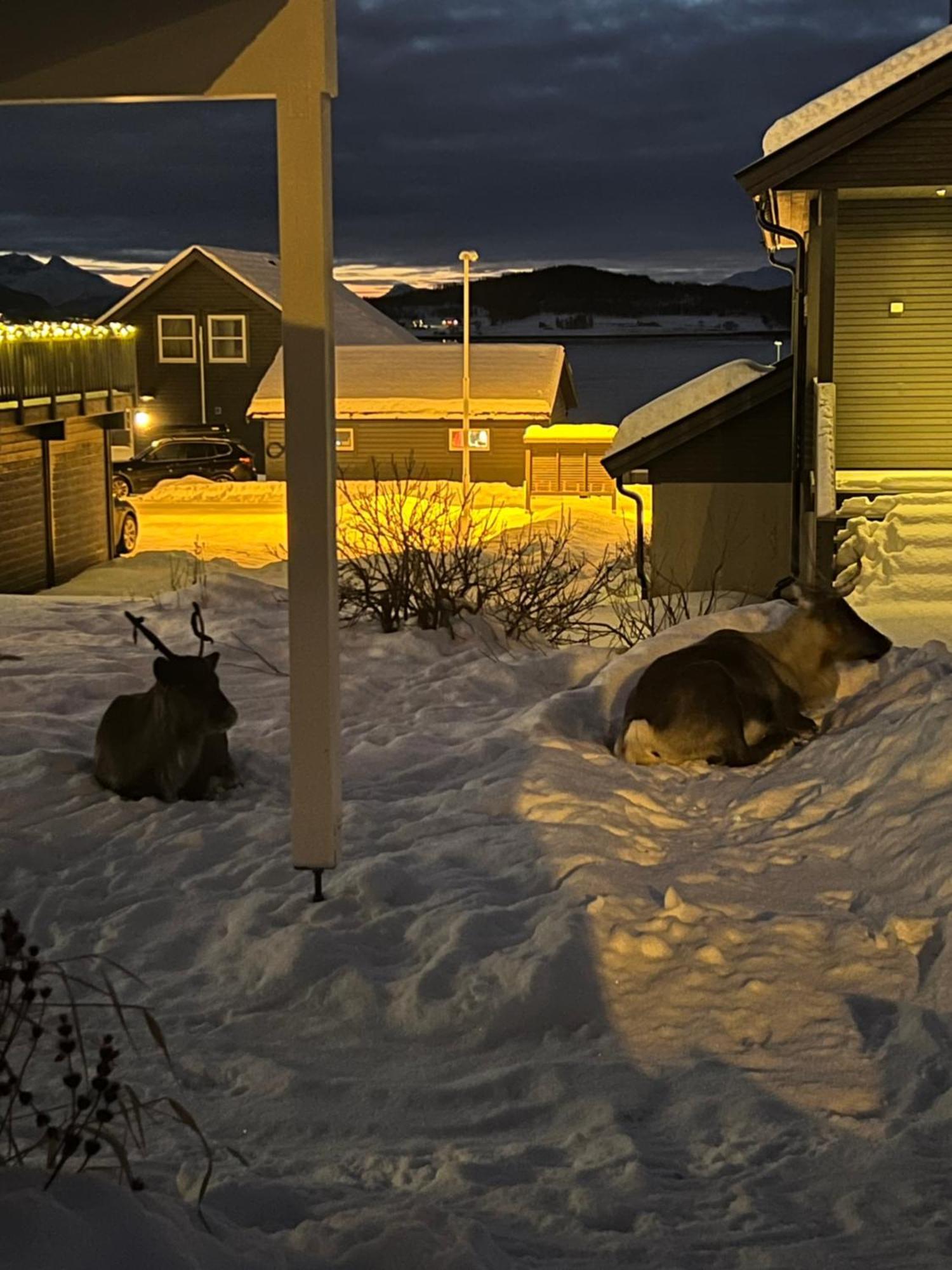 And Warm With Free Parking Tromsø