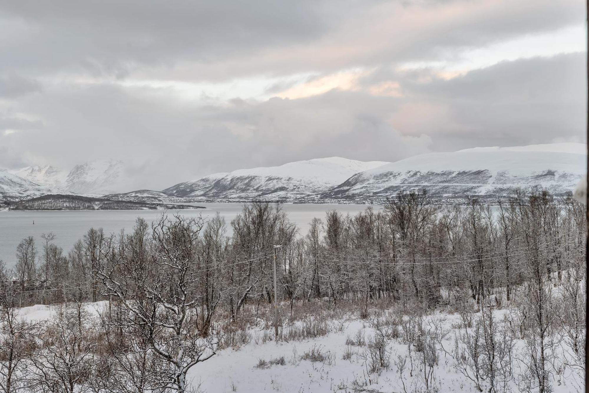 Aurora View * Tromso