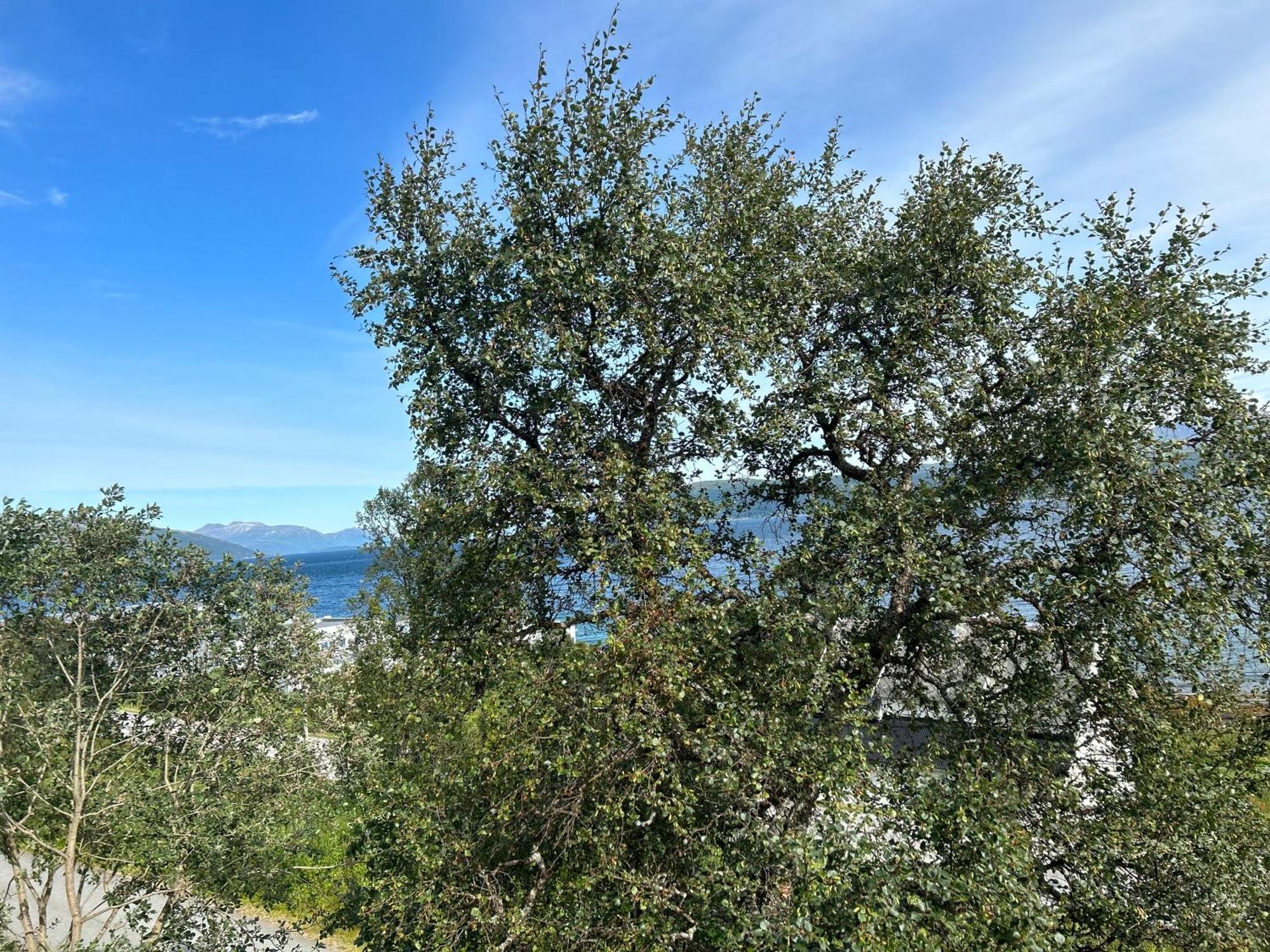 In With Sea And Mountain View *