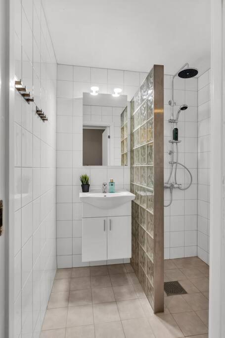 Flott Og Sentral Moderne Leilighet Pa 2 Etasjer Apartment