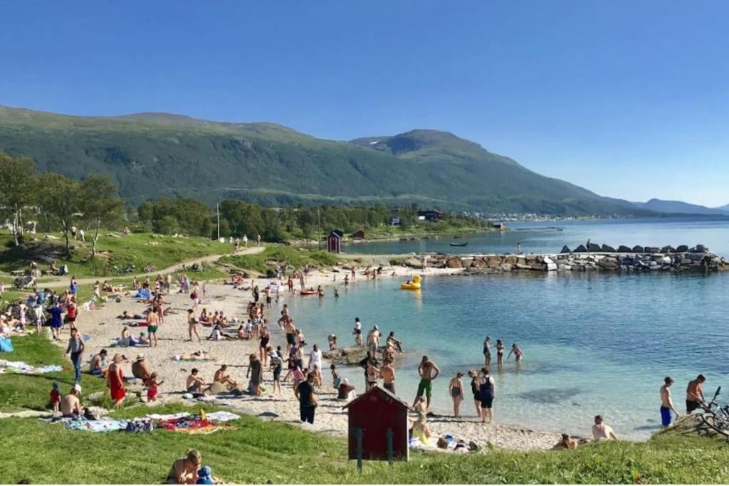 Stroken Med Spektakulaer Utsikt * Tromso