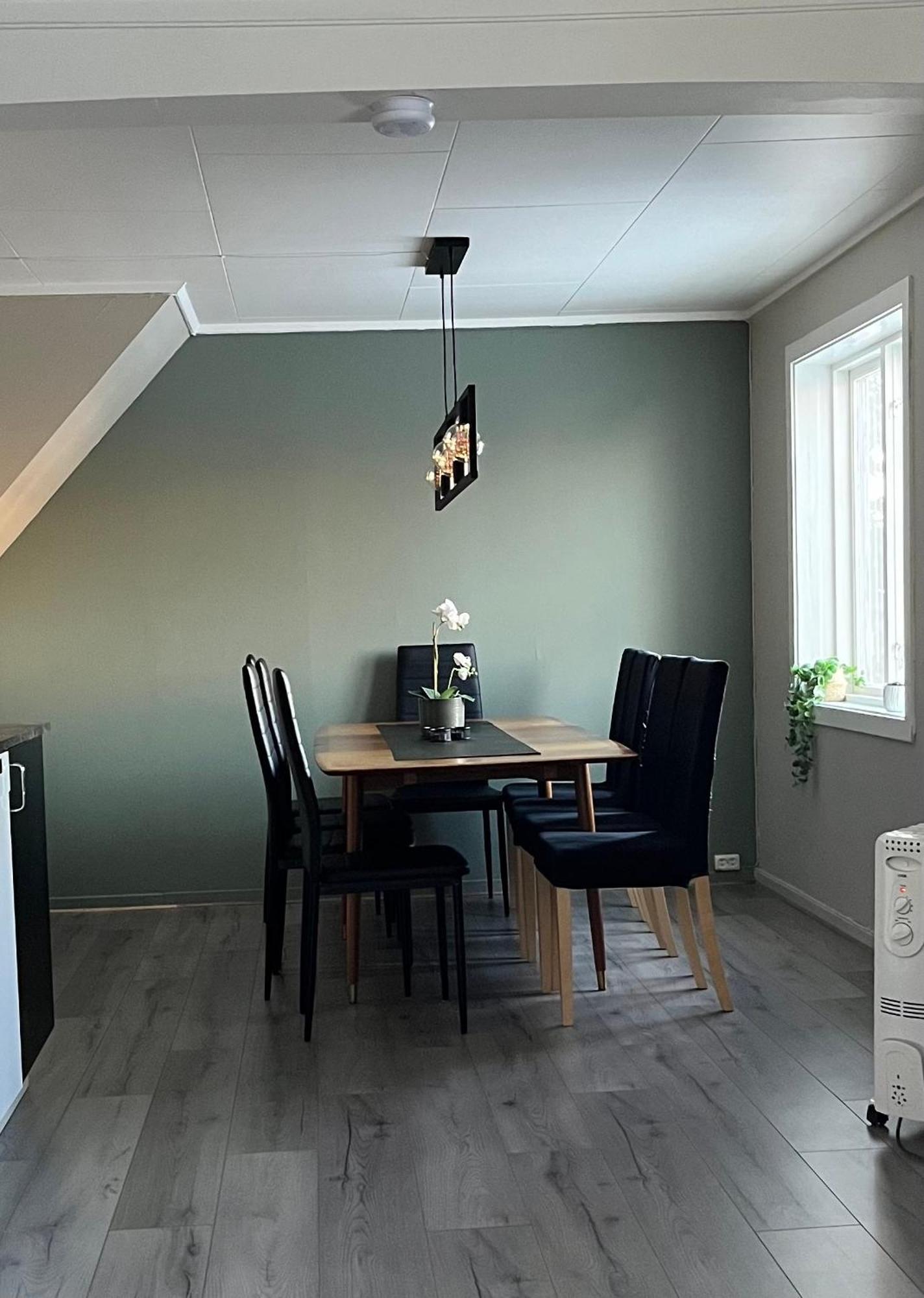 Enebolig Sentralt Pa Toppen Av Tromsoya Holiday home