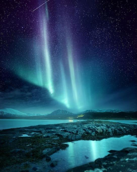 Arctic Vista - Incredible Views