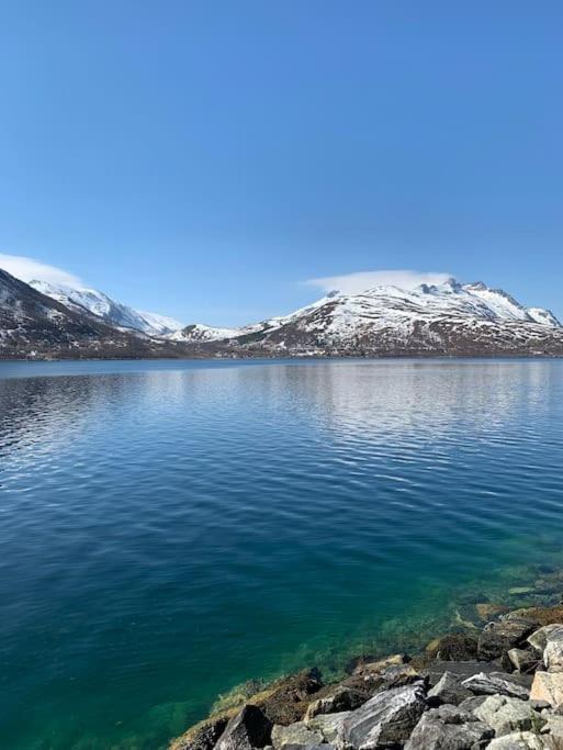 I Nord Tromso