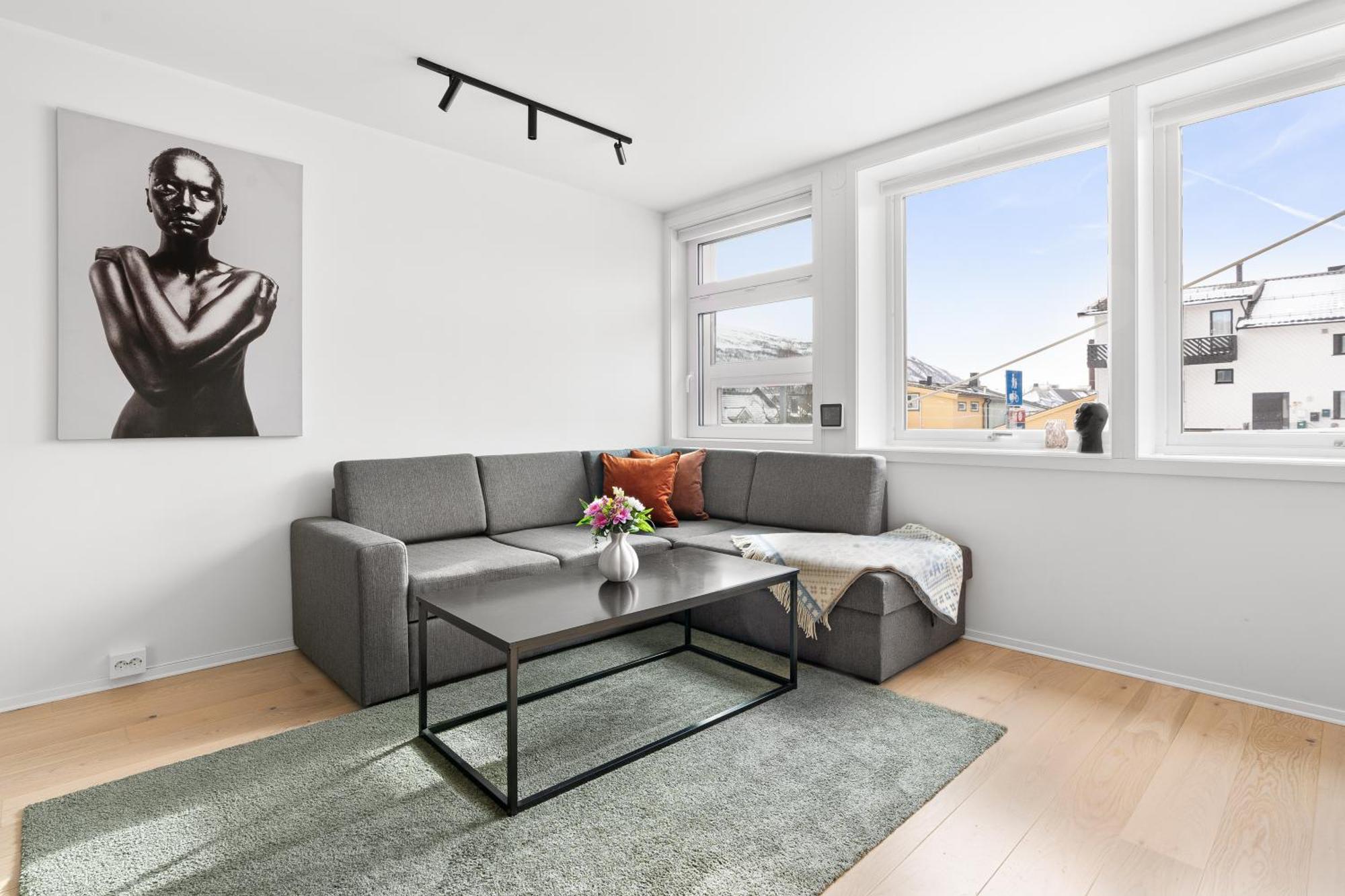 Arctic Homes - Premium Lounge Apartment