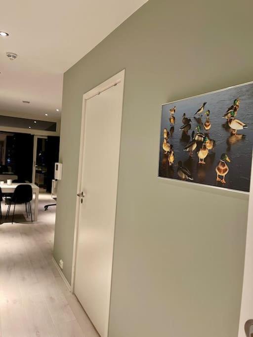 Balsfjordvinden Appartement Tromsø