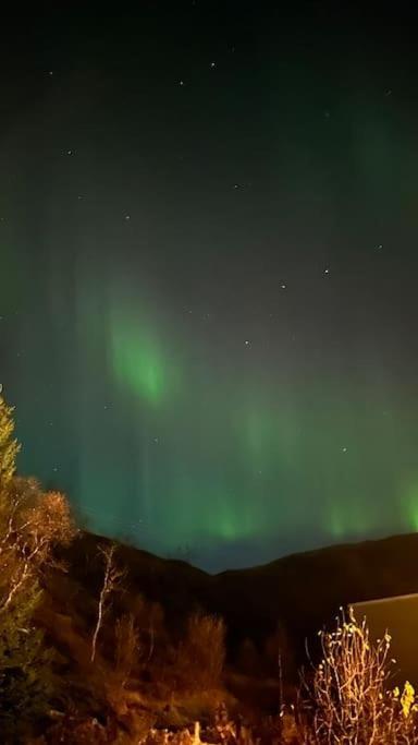 Fin Leilighet Med En Nydelig Sjoutsikt Og Fjell Tromso
