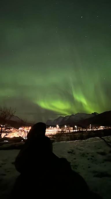 Fin Leilighet Med En Nydelig Sjoutsikt Og Fjell Apartment