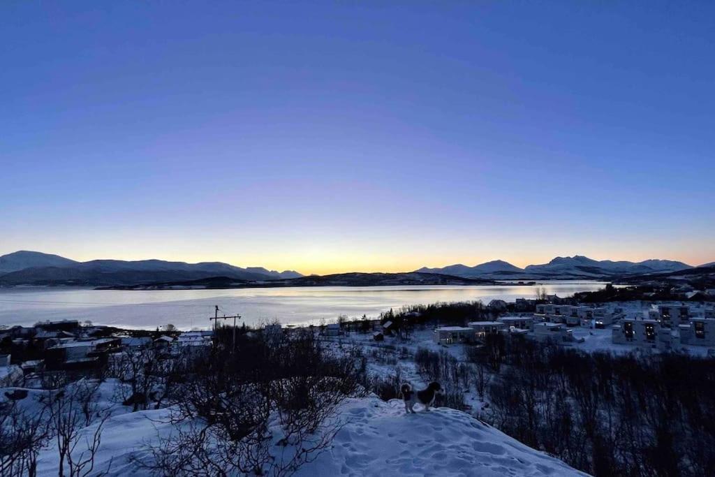 Fin Leilighet Med En Nydelig Sjoutsikt Og Fjell * Tromsø