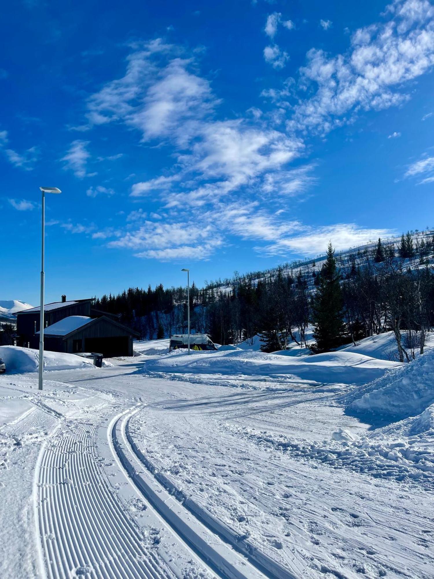Artic * Tromso