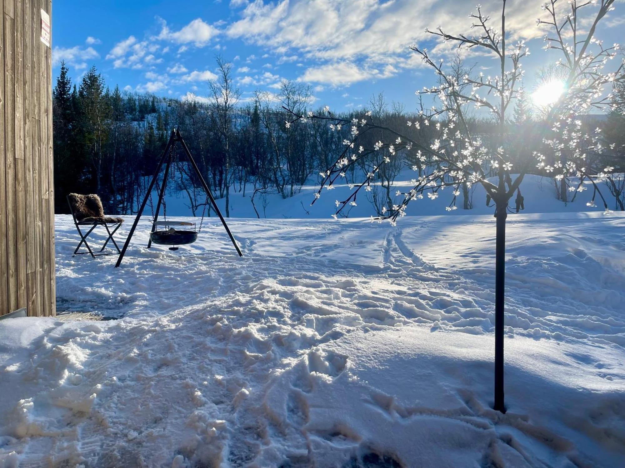 Villa Artic *