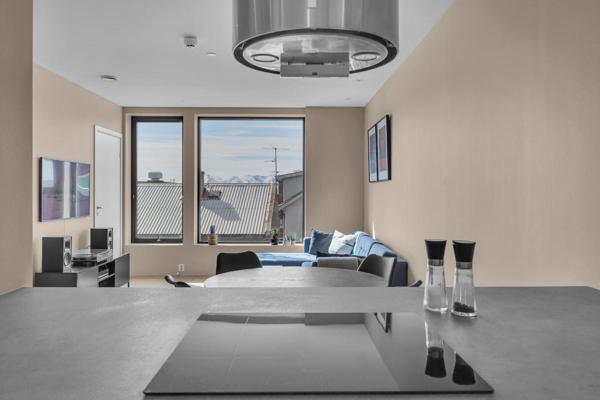 The Arctic Urban Haven Apartment Tromso