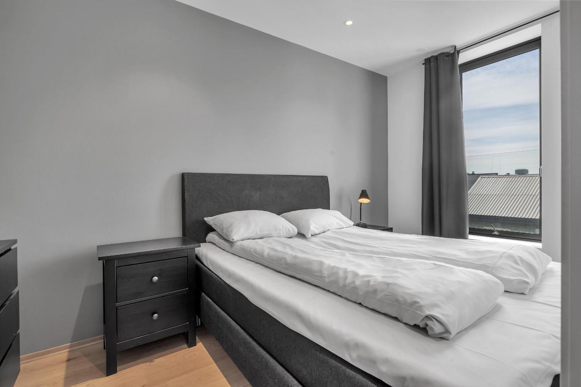 The Arctic Urban Haven Apartment