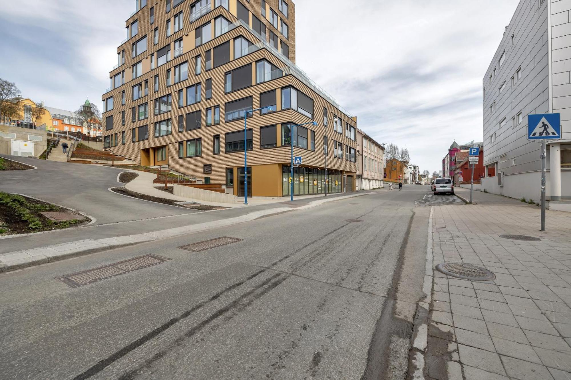 The Arctic Urban Haven *