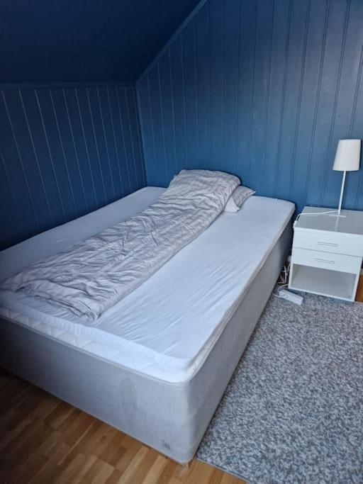 3 Bedrooms&2bathrooms House With Amazing View * Tromso