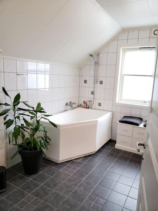 3 Bedrooms&2bathrooms House With Amazing View