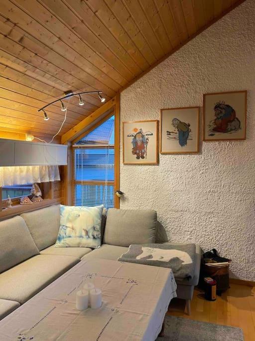 Apartment Floor With Amazing View And Location