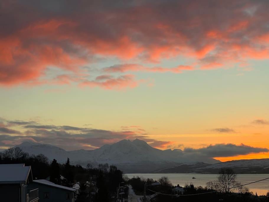 Floor With Amazing View And Location Apartment Tromso
