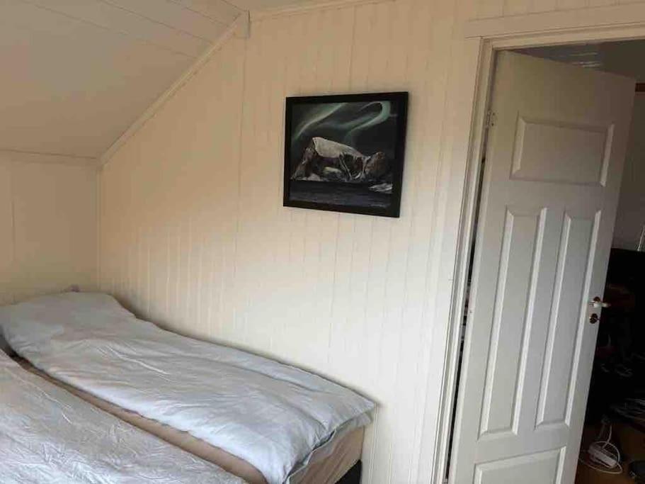 Floor With Amazing View And Location Apartment Tromso