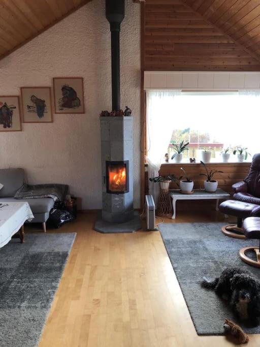 Floor With Amazing View And Location * Tromso