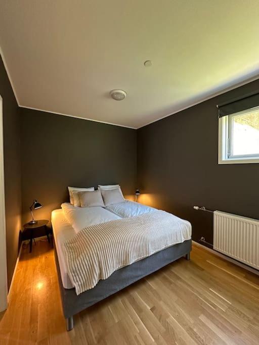 Apartment Cozy 2 Bedroom