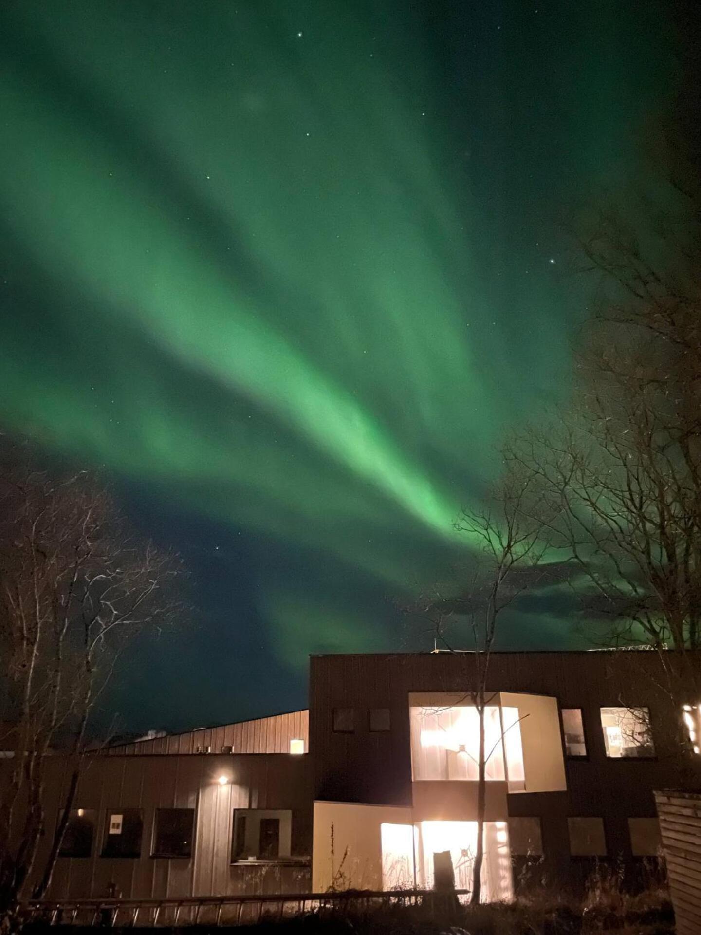 Aurora Polaris - With Outdoor Sauna - 750m From Center - Free Parking Tromso
