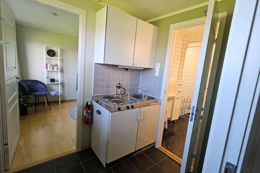 Hybel Med Naerhet Til Alt Appartement