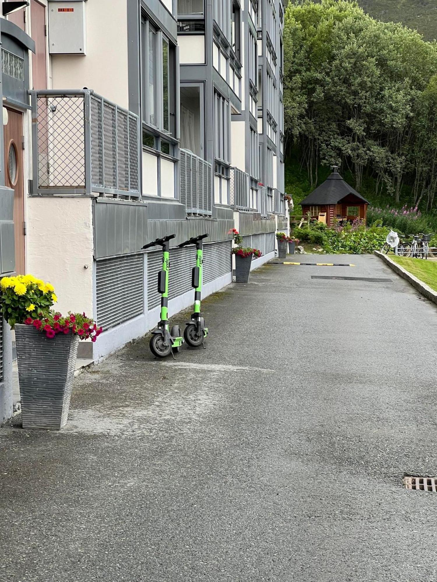 Miracle Tromso, Cozy Double Bed Private In A Shared With Stunning Views Tromso