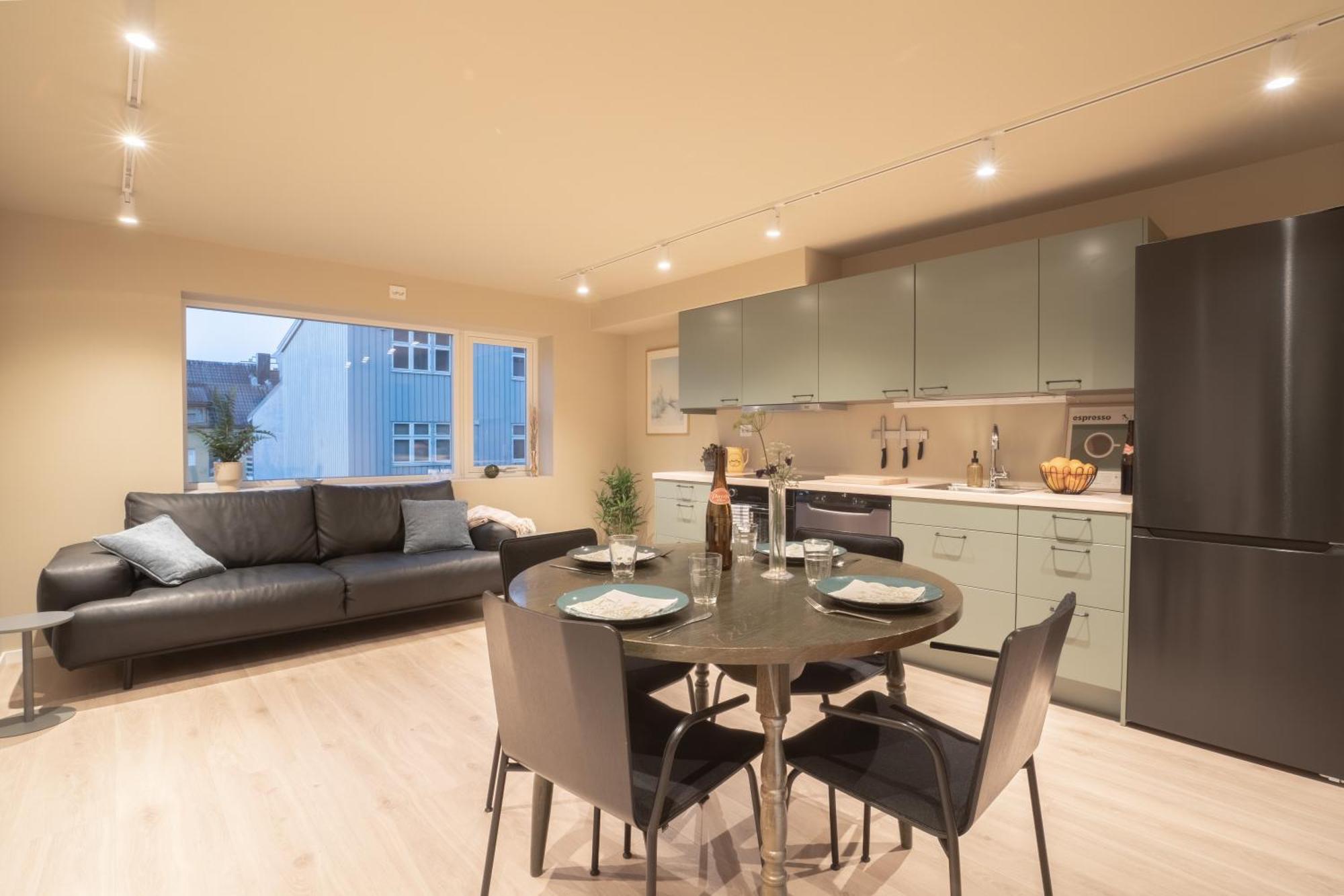 Apartment Spacious And Elegant Tromso
