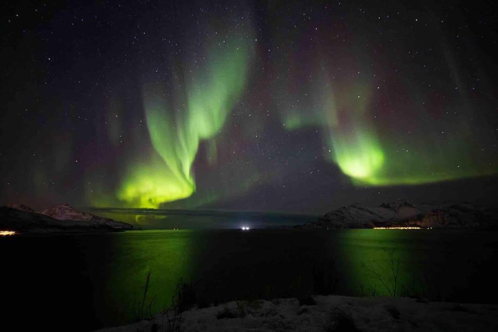 Appartement 10th Floor Penthouse In The Heart Of Tromsø