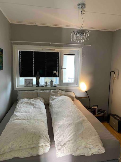 Appartement 10th Floor Penthouse In The Heart Of