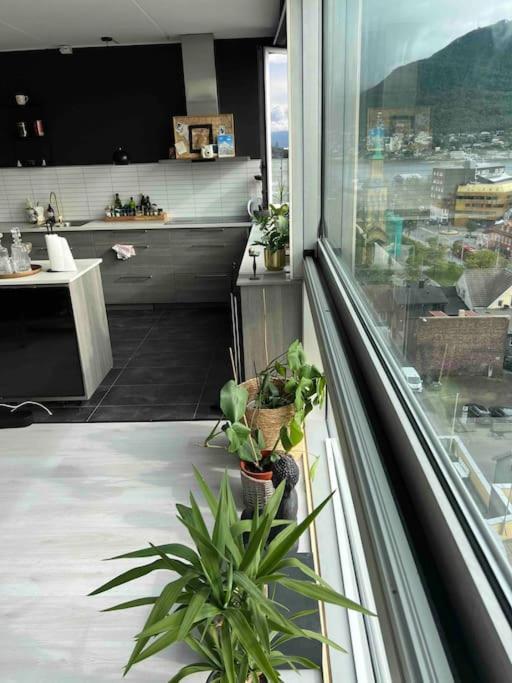 Appartement 10th Floor Penthouse In The Heart Of *