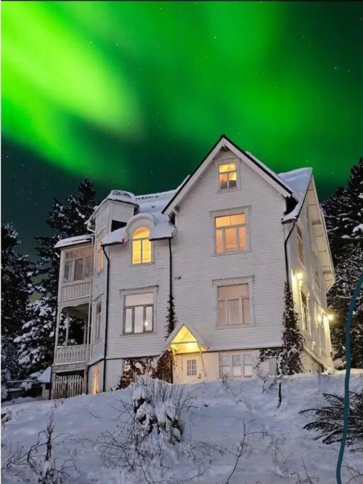 Cozy Loft With Amazing View Tromsø
