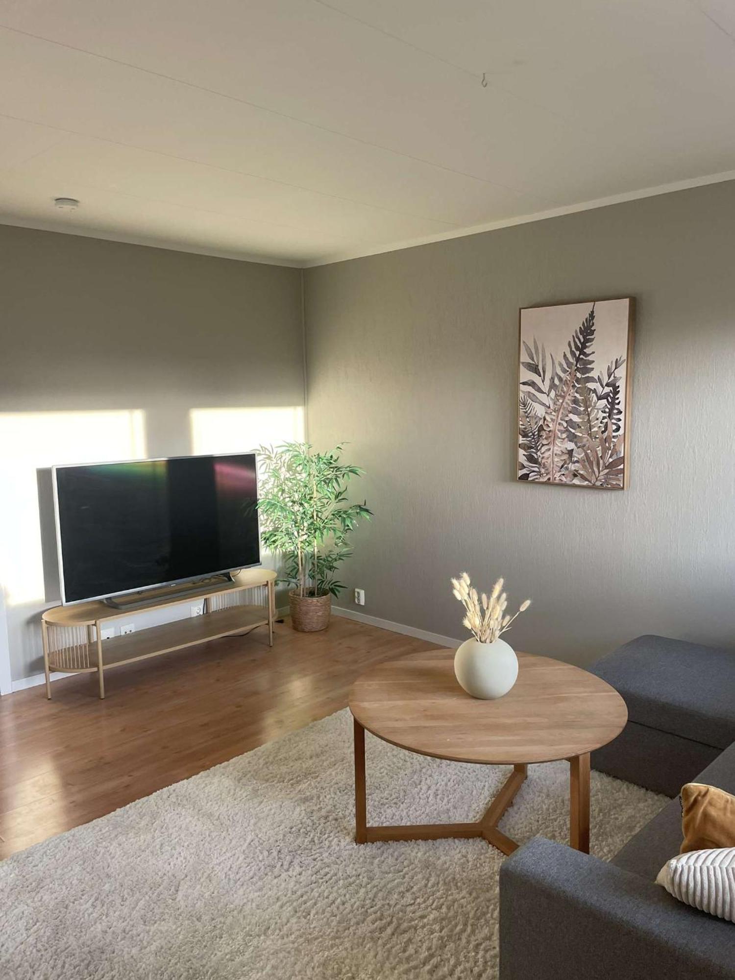 Comfy In Apartment