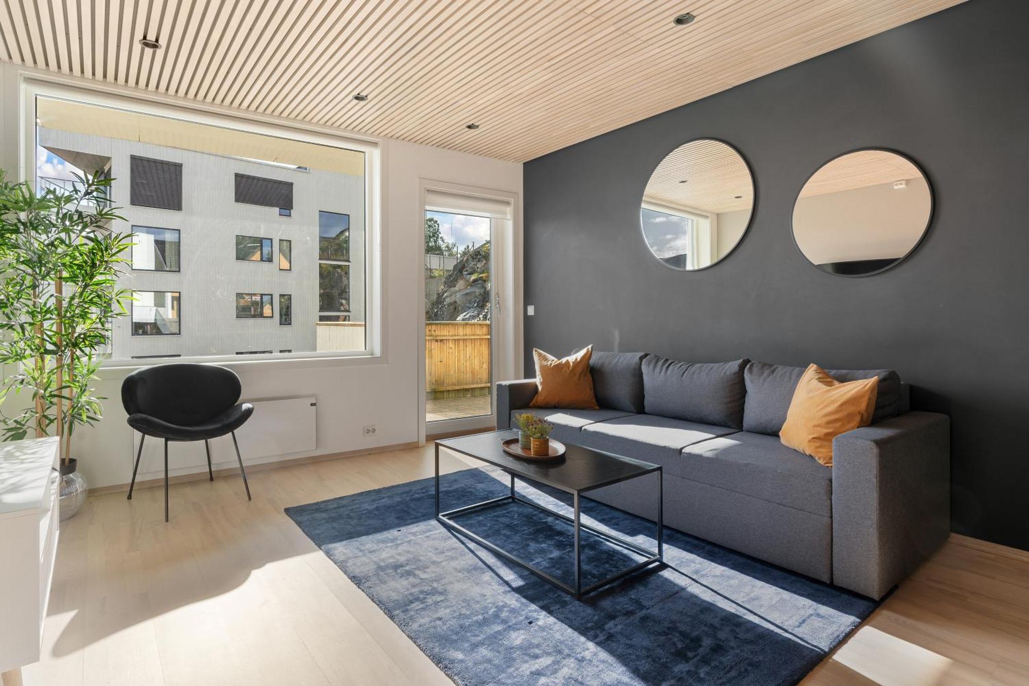 Arctic Homes - Premium Aurora
