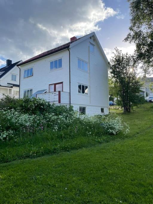The Aurora Garden - 1bedroom - Walking Distance From Center Apartment